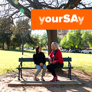 Mental Health Services Plan – Have yourSAy