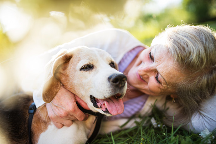 Sometimes a dog can be better for a patient than hospital