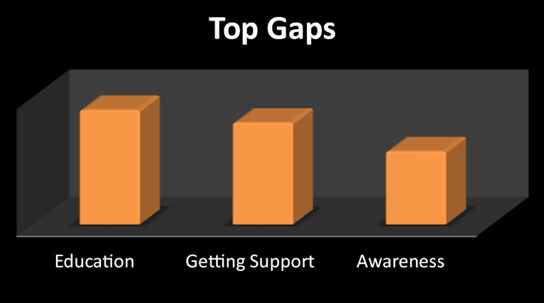 Top Gaps: Education, Getting Support, Awareness